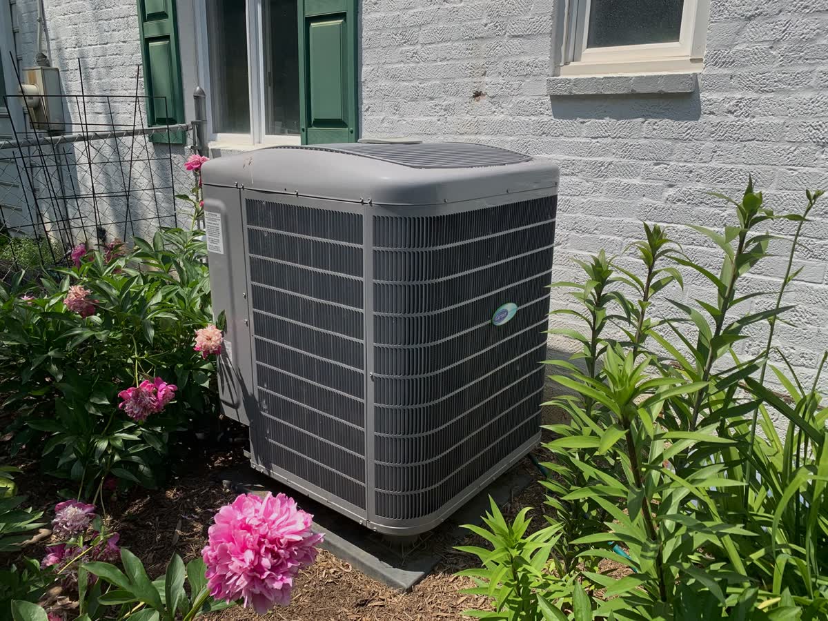 A Carrier condenser installed beside a flower bed